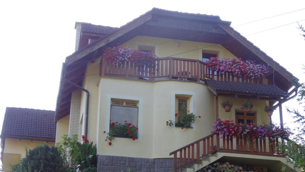 Apartman U Sarky Valaska Exterior photo